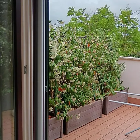 Cuore Di Toscana, 44 * Gracciano