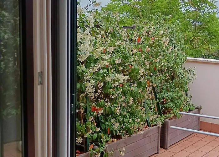 Cuore Di Toscana, 44 * Gracciano