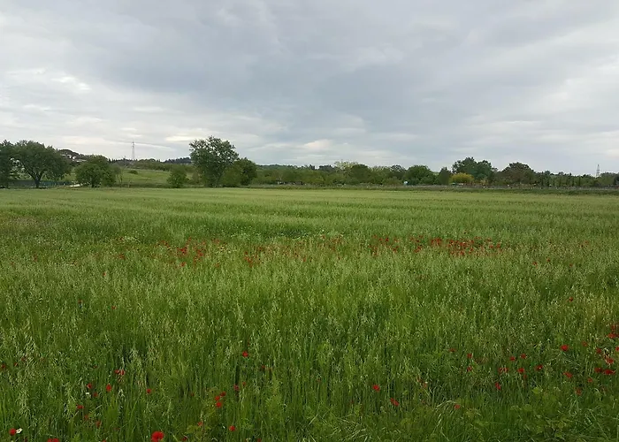 Cuore Di Toscana, 44 *