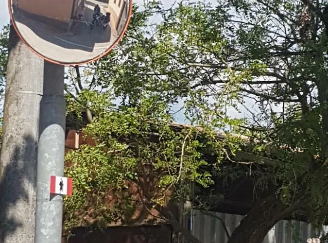 Cuore Di Toscana, 44 Gracciano